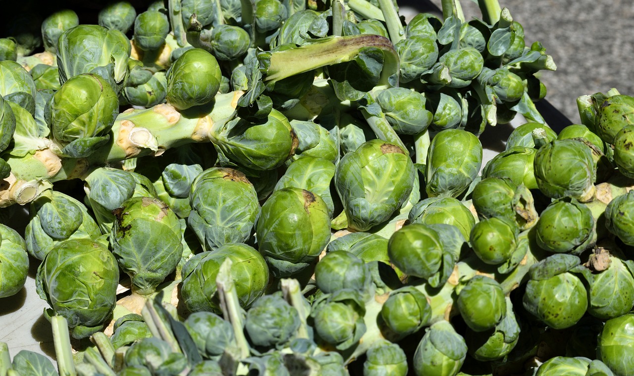 brussel sprouts vegetable food free photo