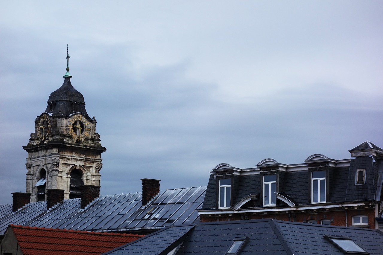 brussels roofs city free photo