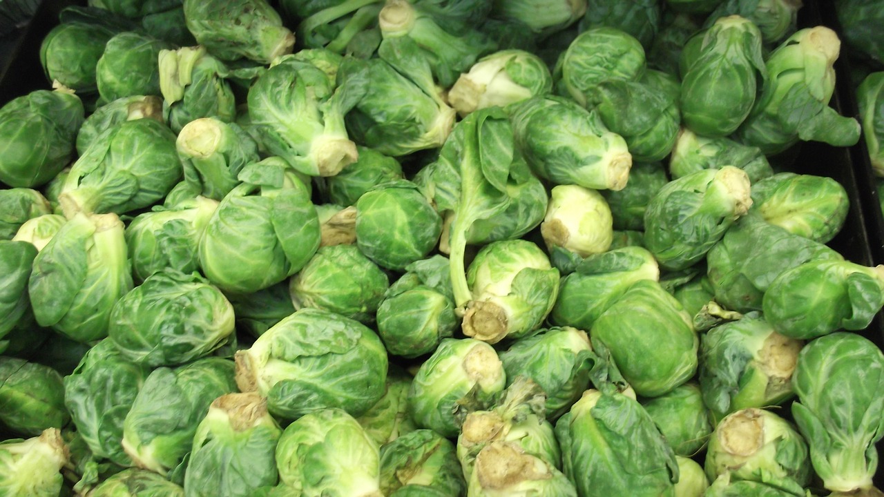 brussels sprout vegetable food free photo