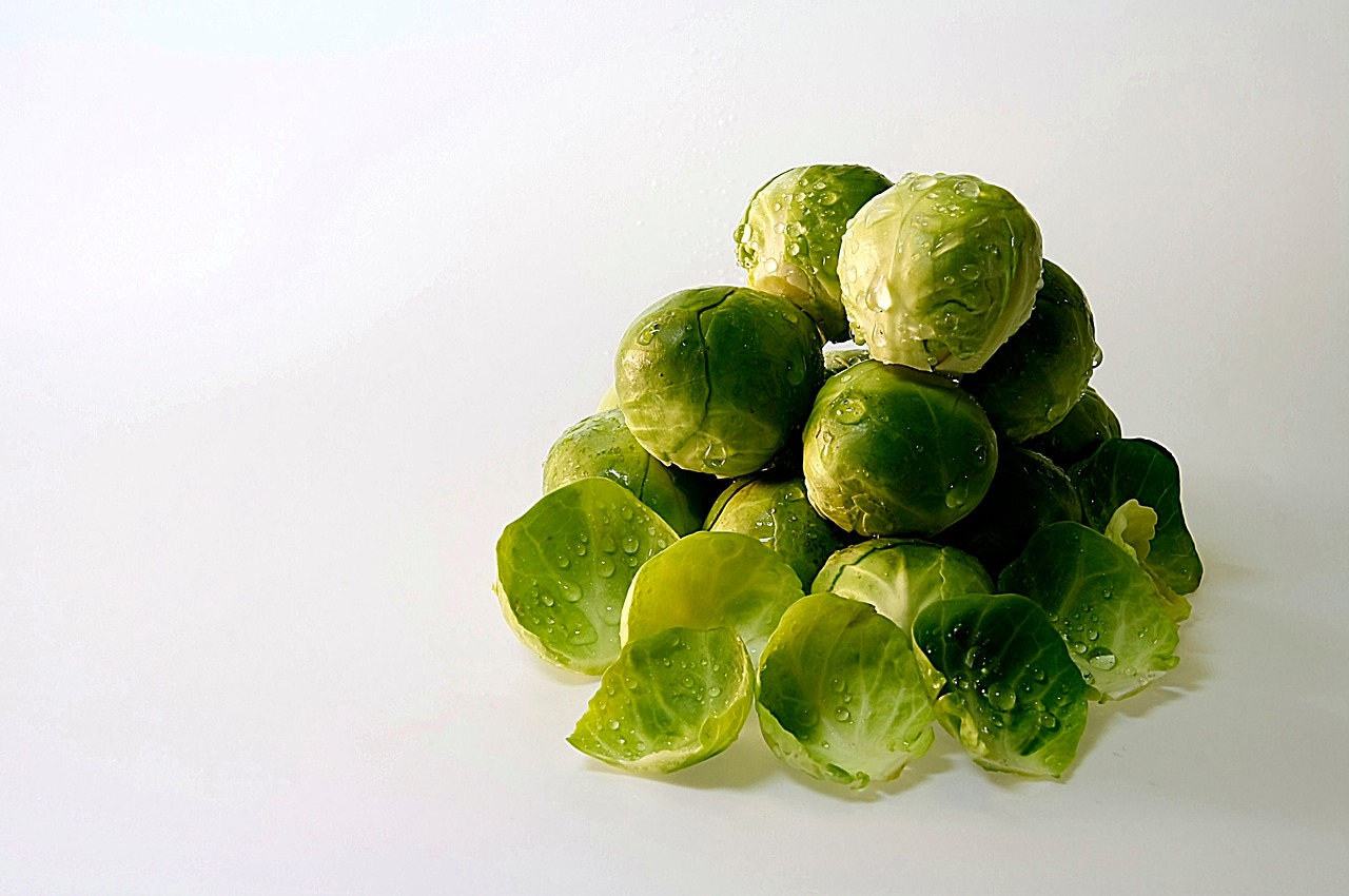 brussels sprouts drop of water brussels sprouts leaves free photo
