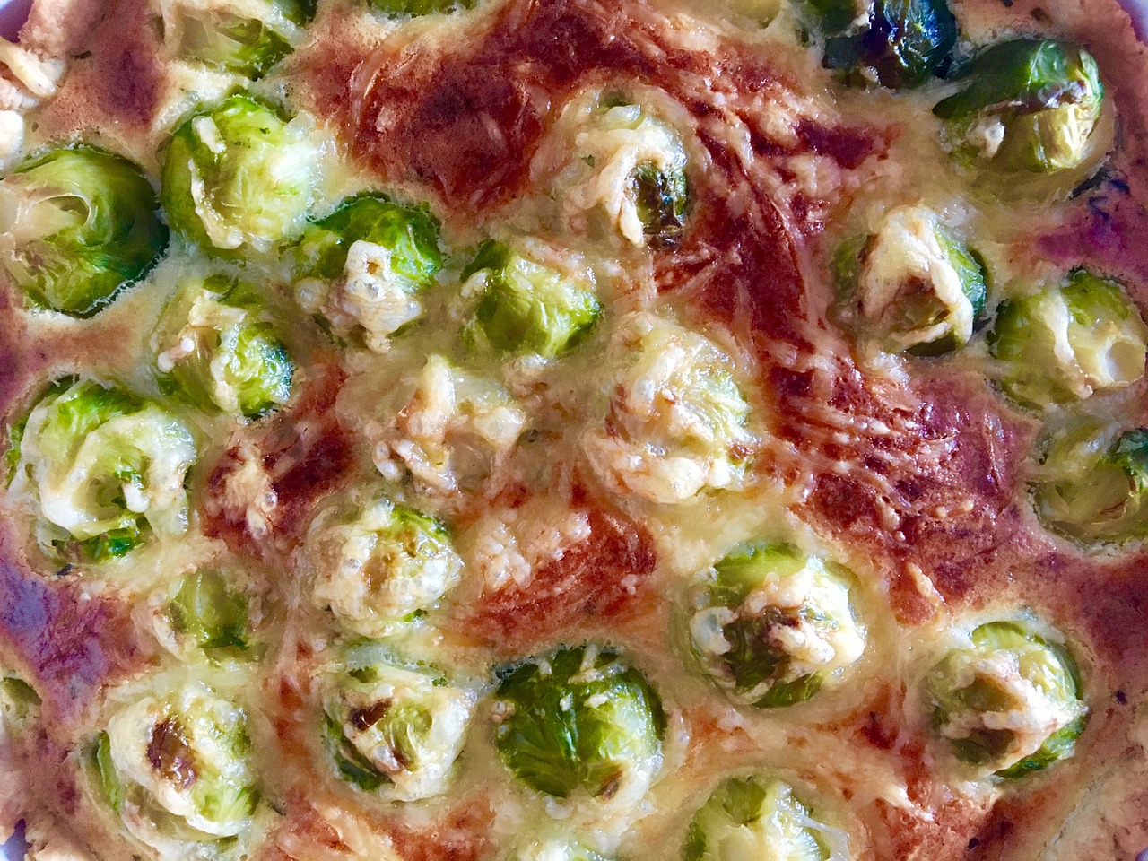 brussels sprouts eat casserole free photo