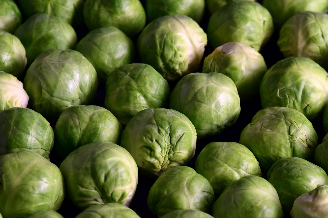 brussels sprouts vegetables green free photo