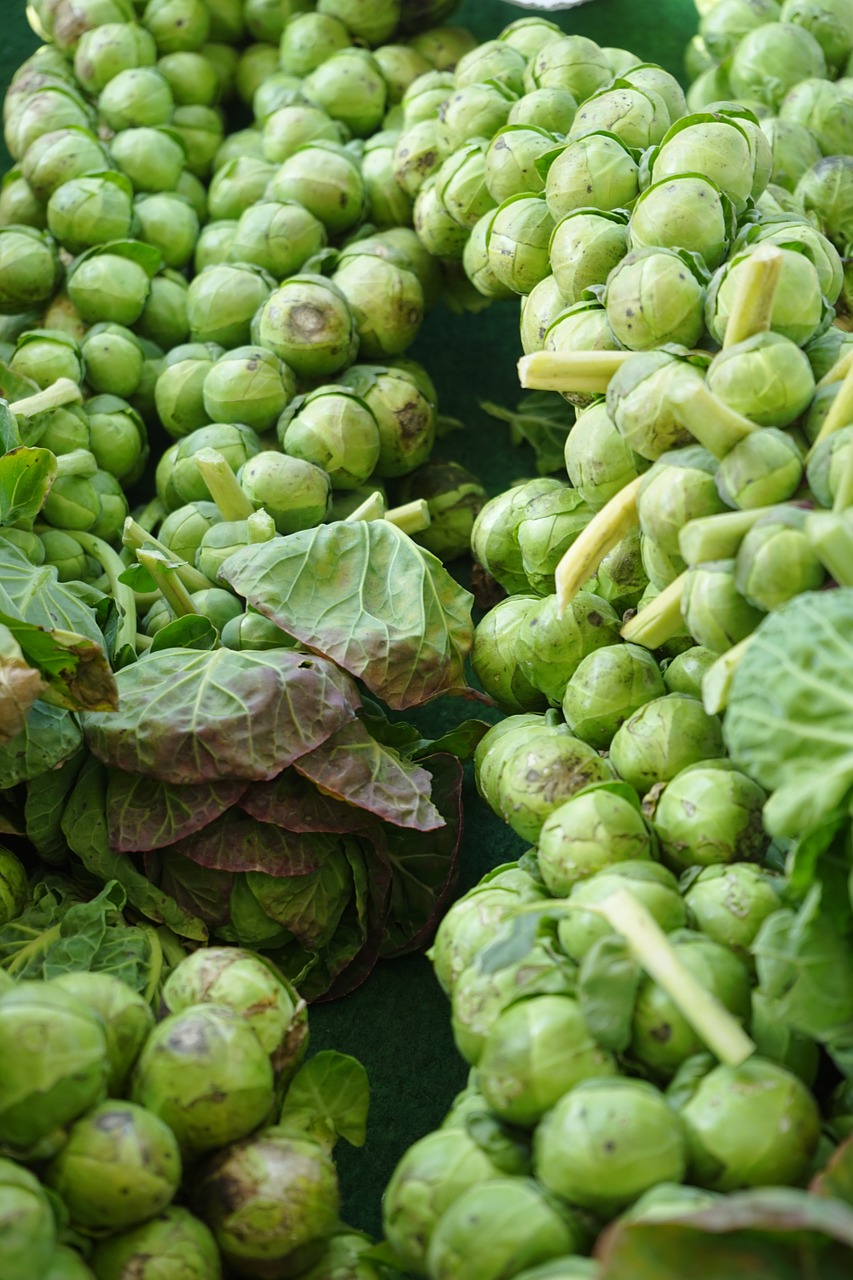 brussels sprouts florets vegetables free photo