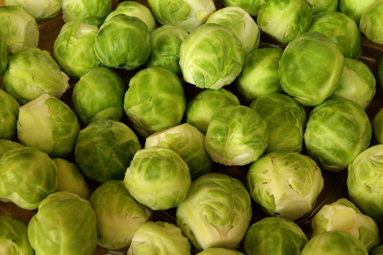 brussels sprouts vegetables rosenkoehlchen free photo