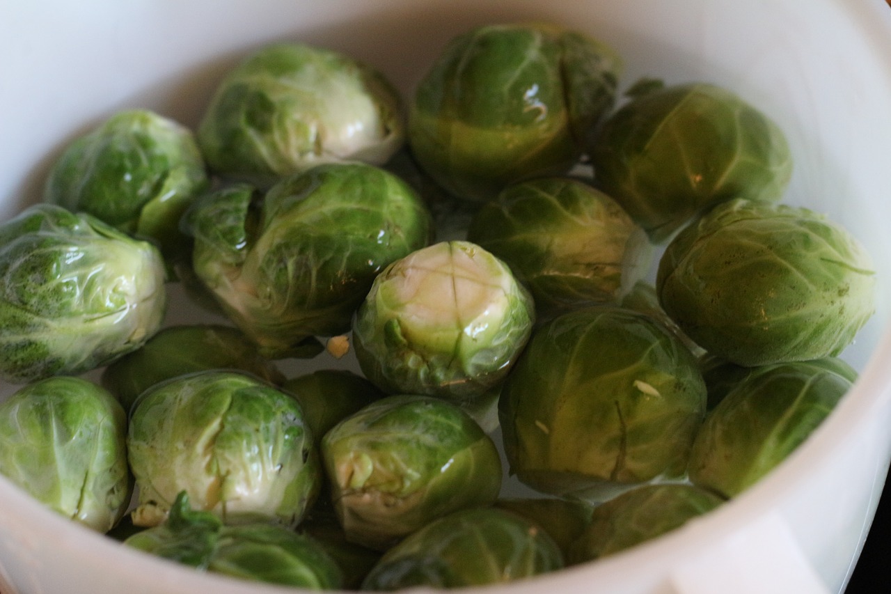 brusselsprouts fresh organic vegtable free photo