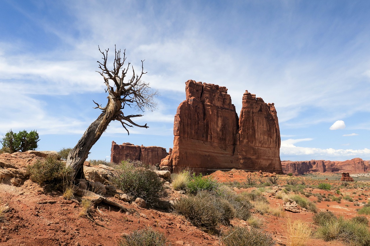 bryce canyon national free photo