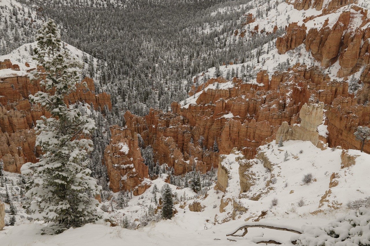 bryce  canyon  national free photo