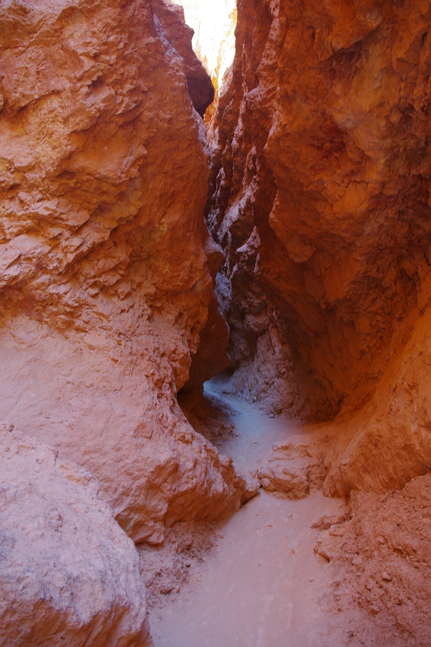 bryce canyon rock free photo