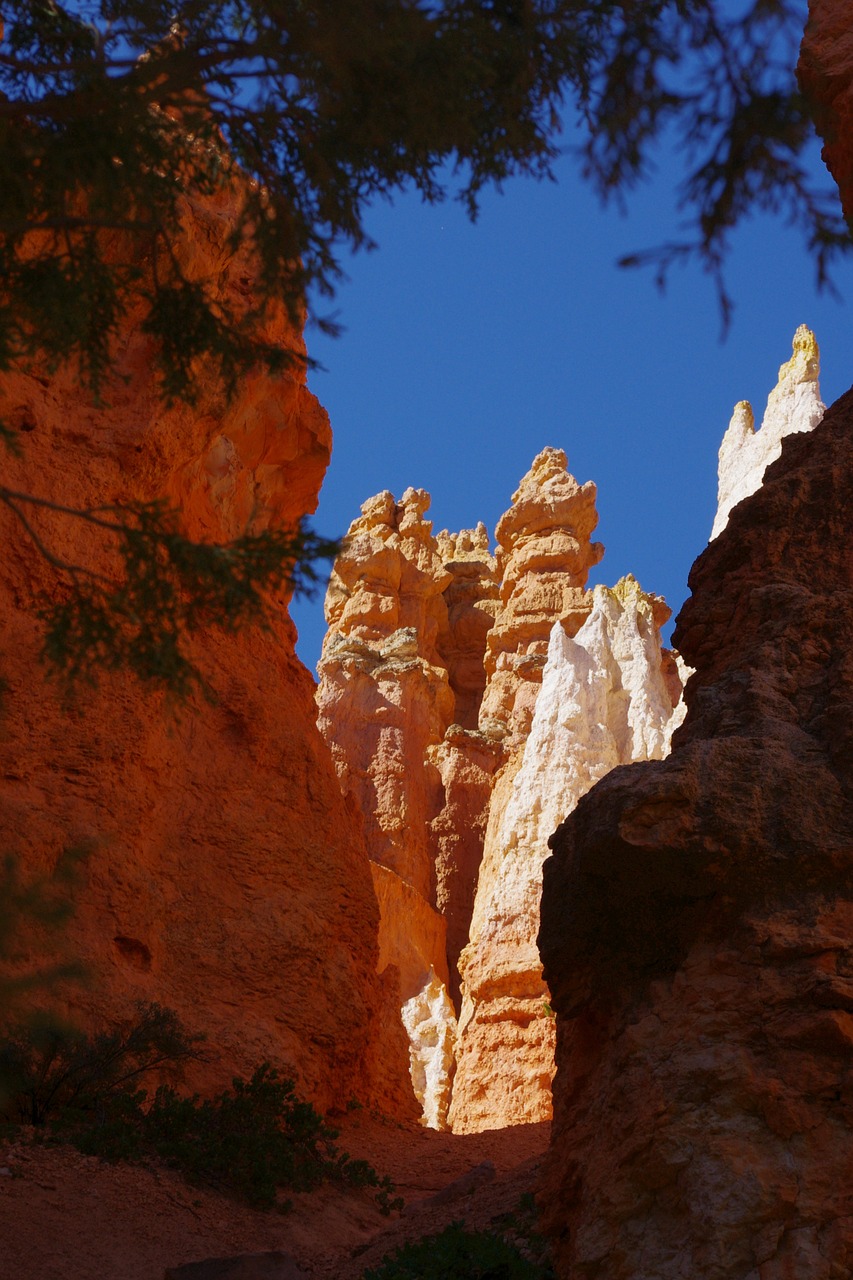 bryce canyon rock free photo