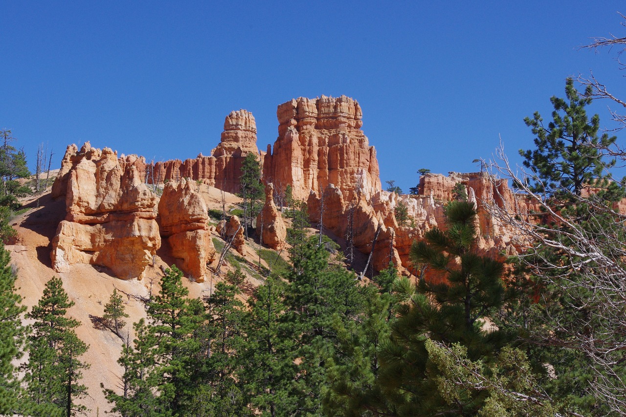 bryce canyon rock free photo