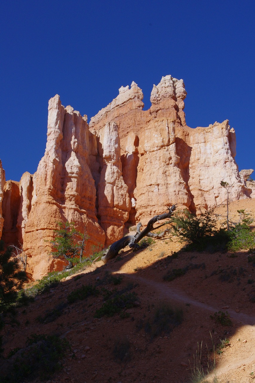 bryce canyon rock free photo