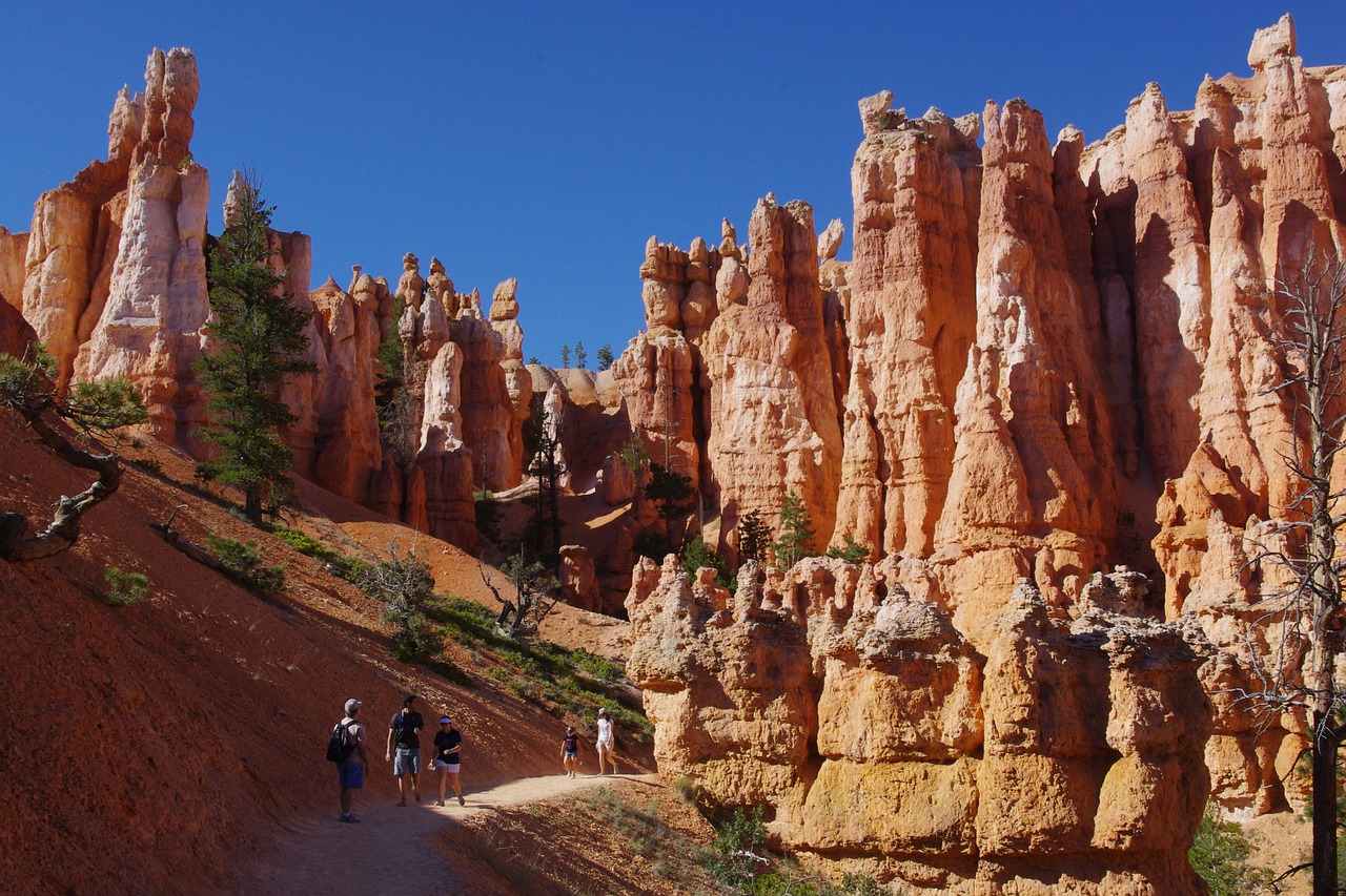 bryce canyon rock free photo