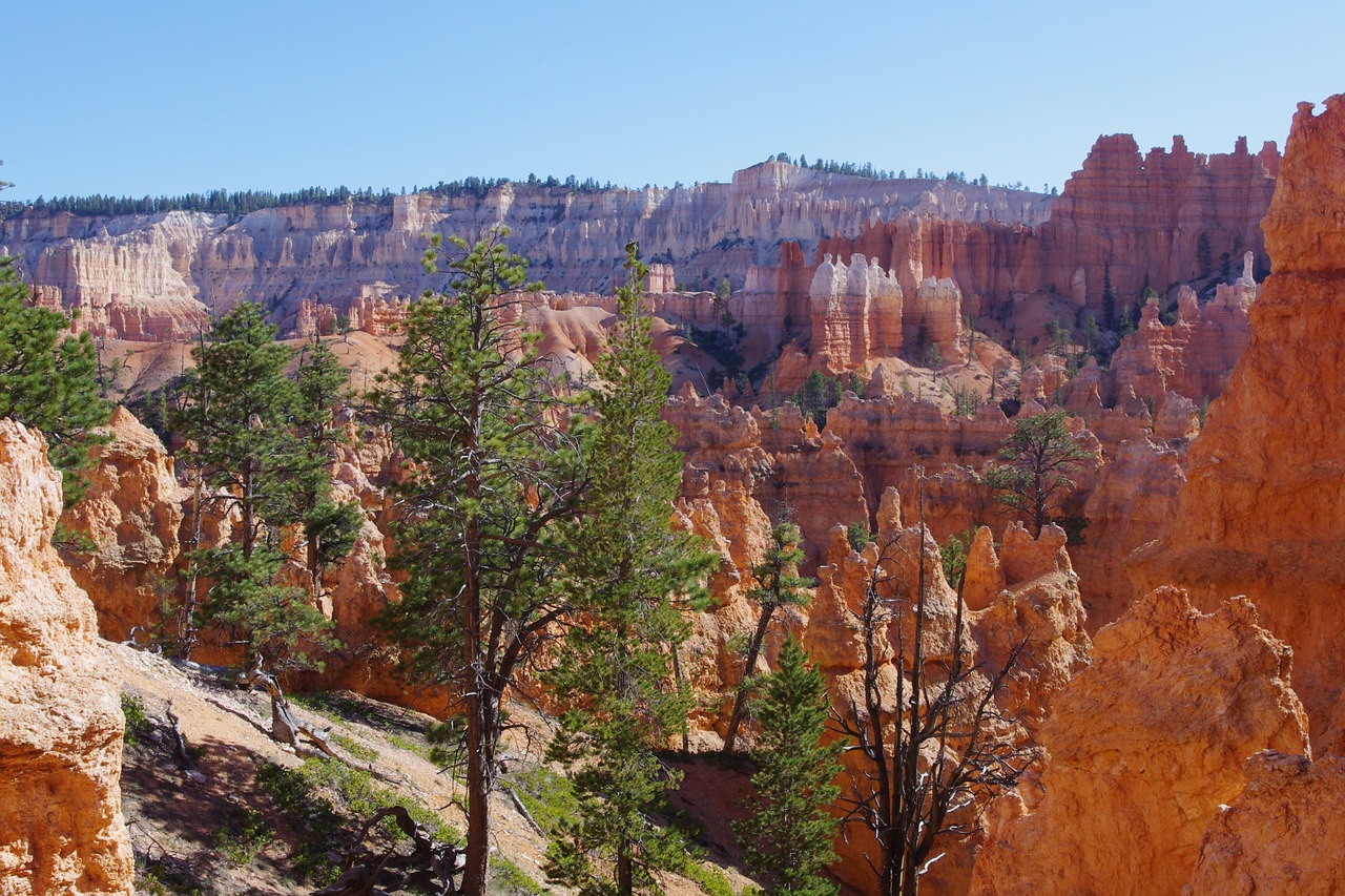 bryce canyon rock free photo