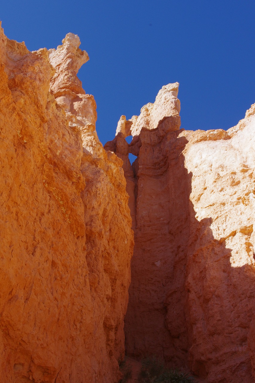 bryce canyon rock free photo