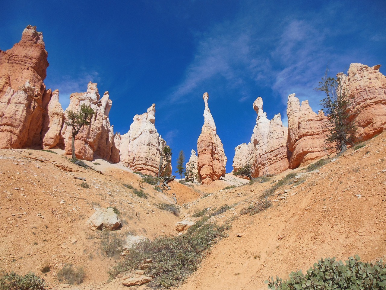 bryce canyon national park usa free photo