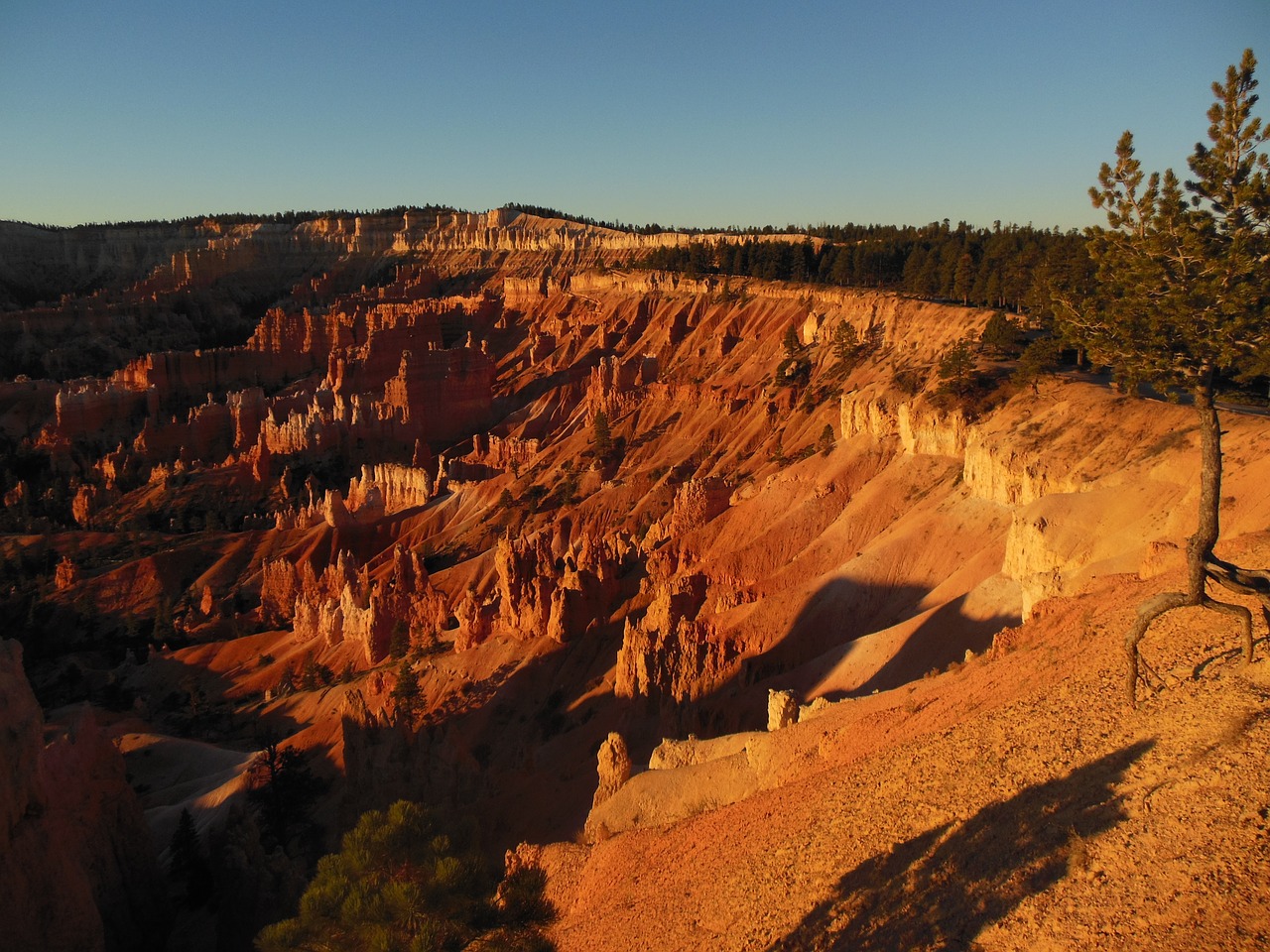 bryce canyon national park sunrise free photo