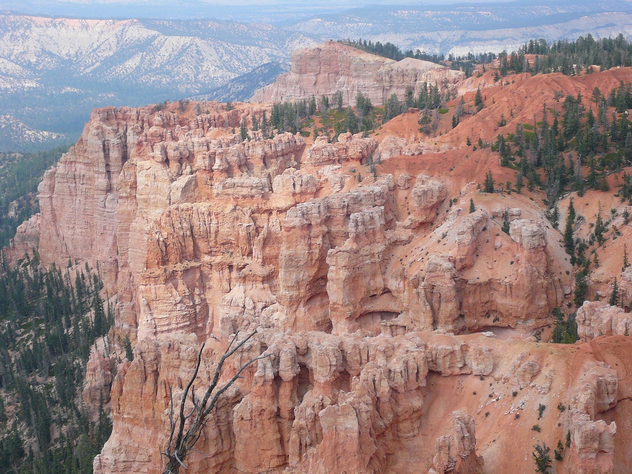 bryce canyon summer canyon free photo