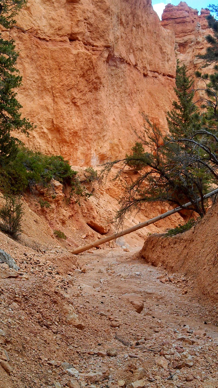 bryce canyon rock formation erosion free photo