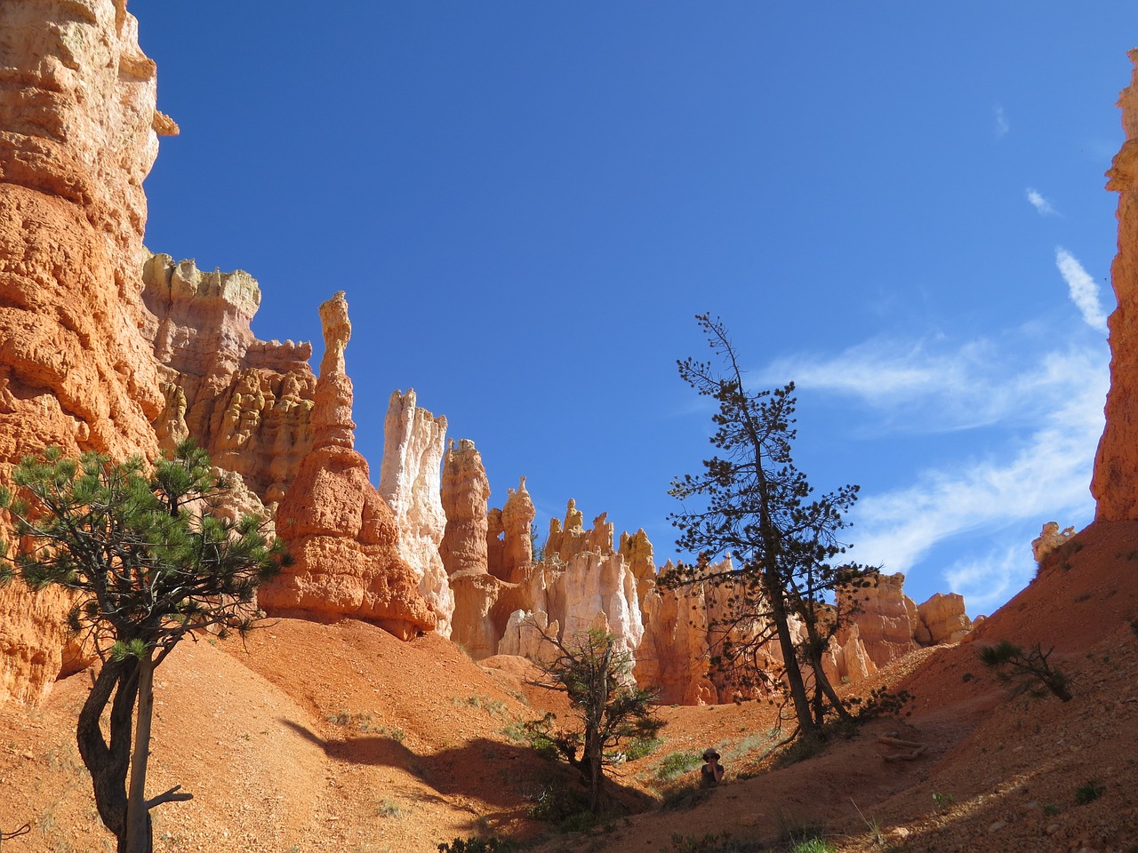 bryce canyon utah national free photo