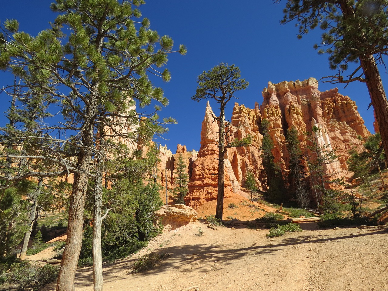 bryce canyon utah national free photo