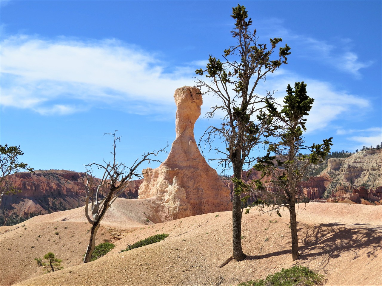 bryce canyon utah hiking free photo