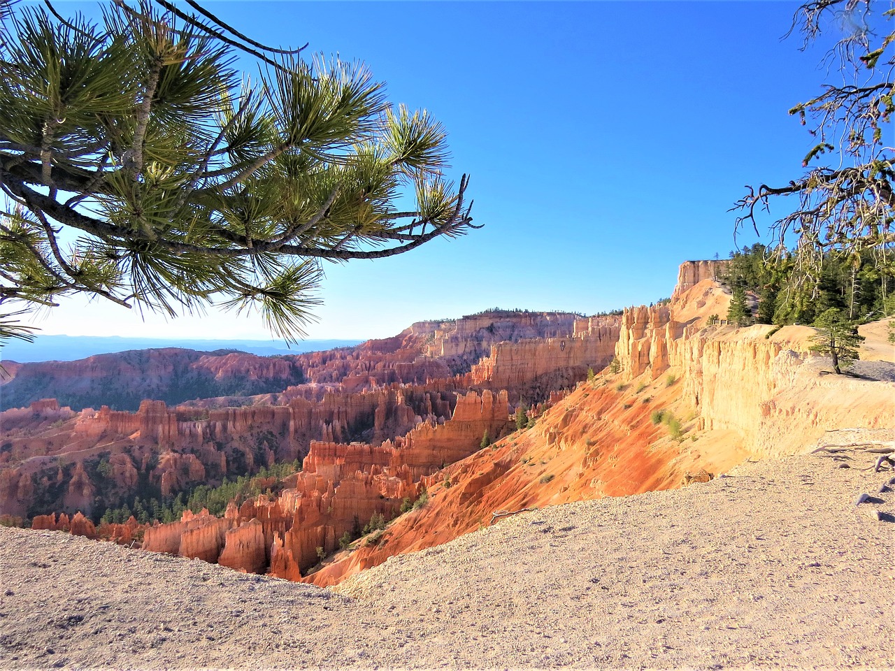 bryce canyon hiking utah free photo