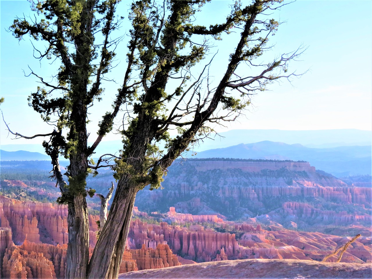 bryce canyon utah hiking free photo