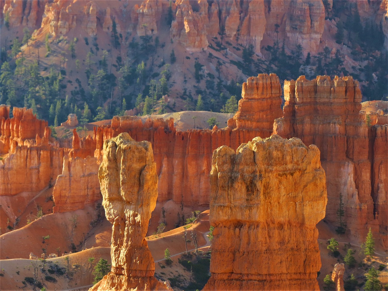 bryce canyon red sandstone hiking free photo