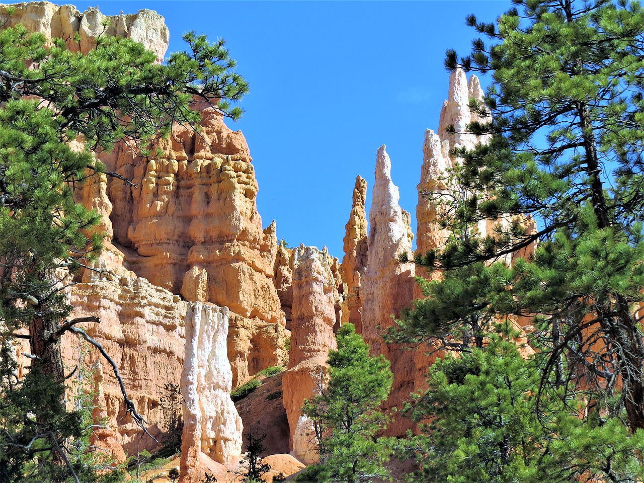 bryce canyon red sandstone blue sky free photo