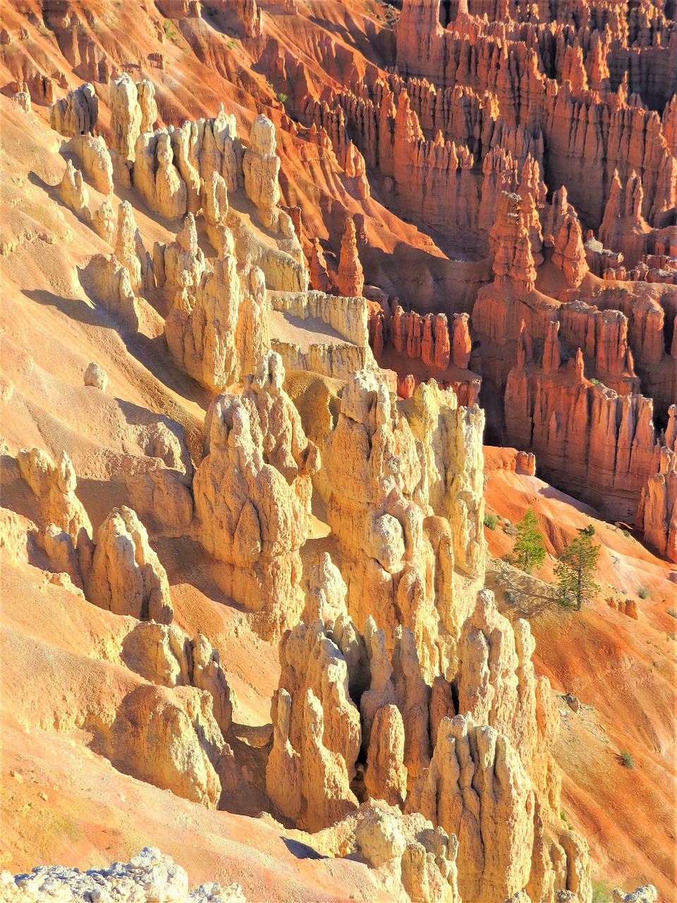 bryce canyon utah hiking free photo