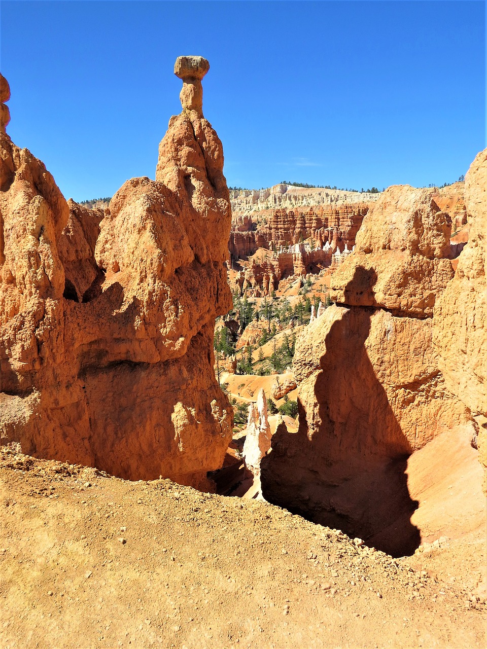 bryce canyon red sandstone hiking free photo