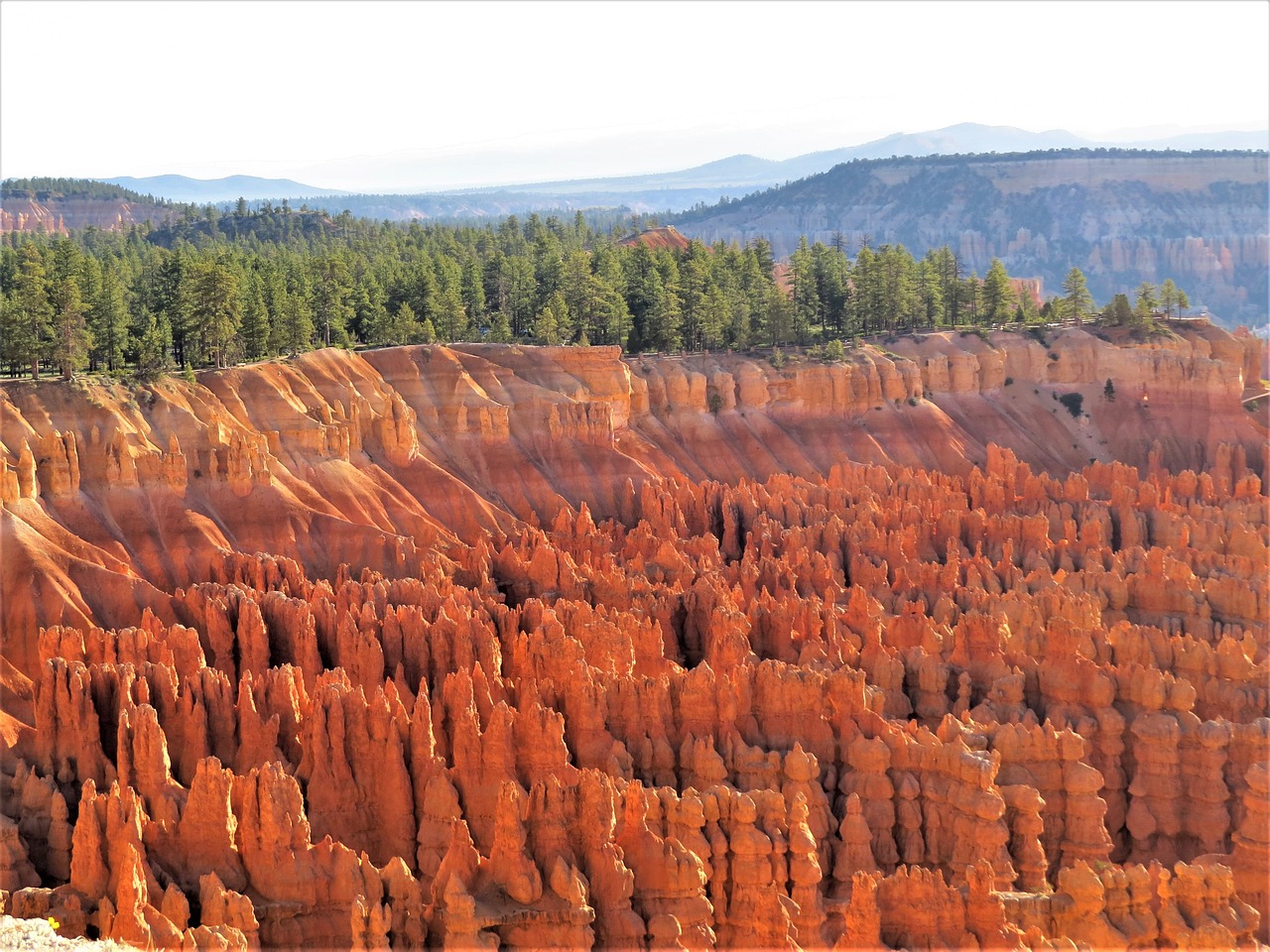 bryce canyon utah sunrise free photo