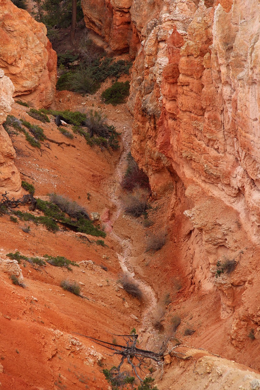 bryce canyon america mountains free photo