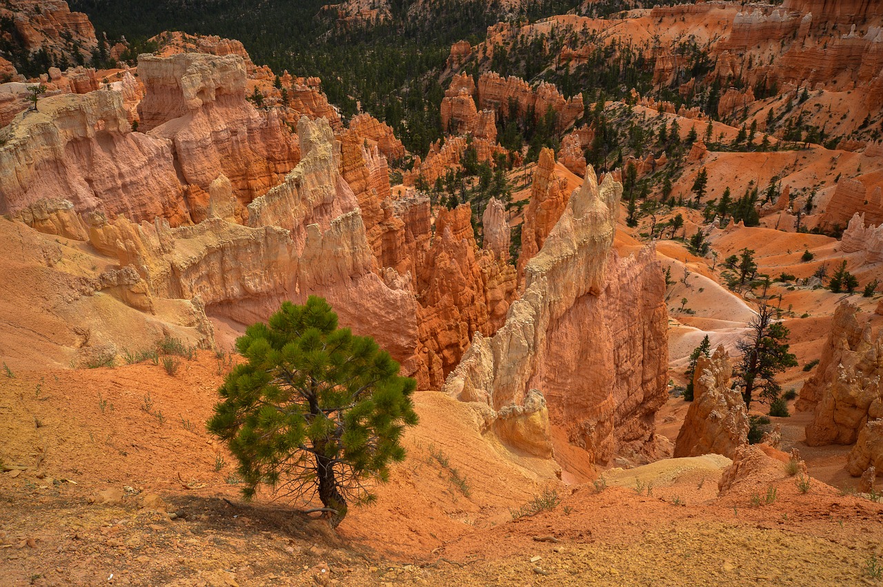 bryce canyon  usa  vacations free photo