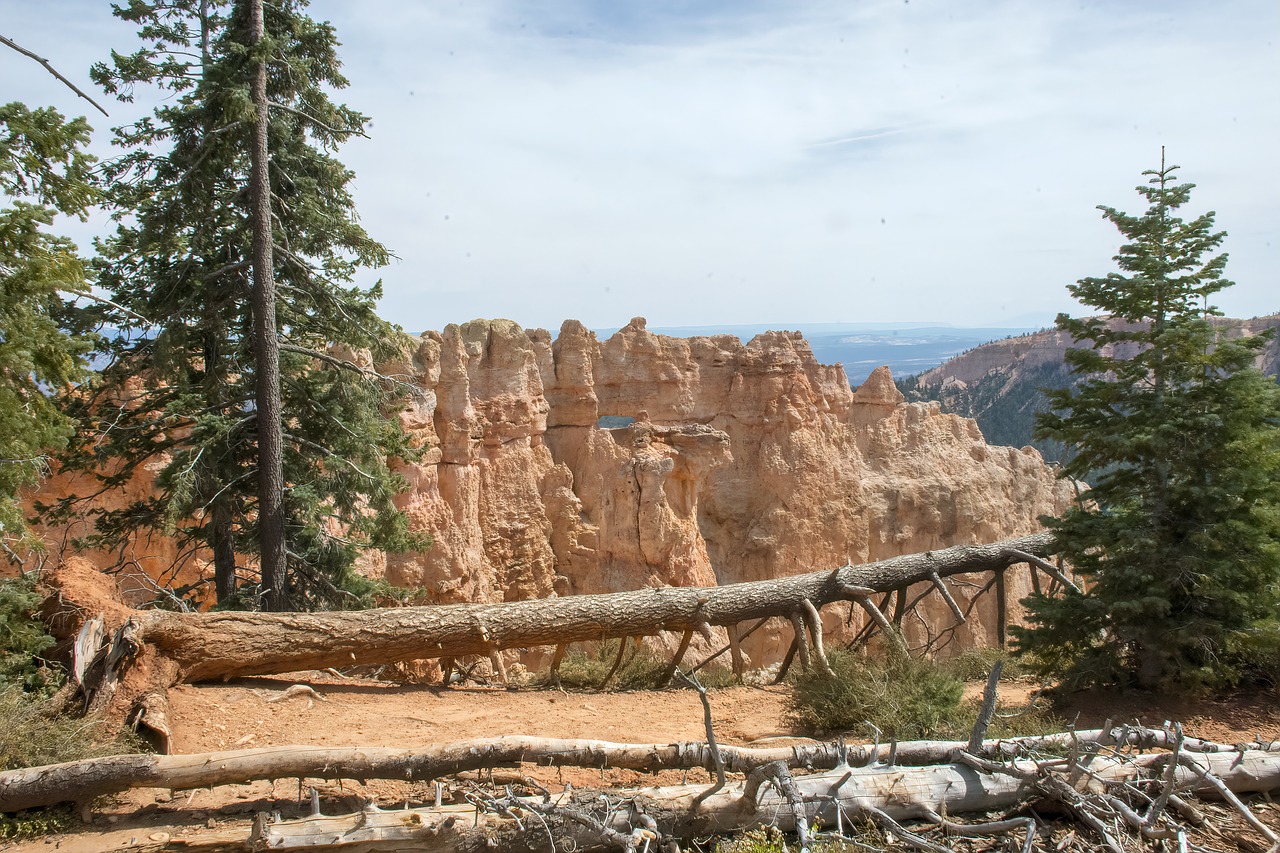 bryce canyon  park  utah free photo