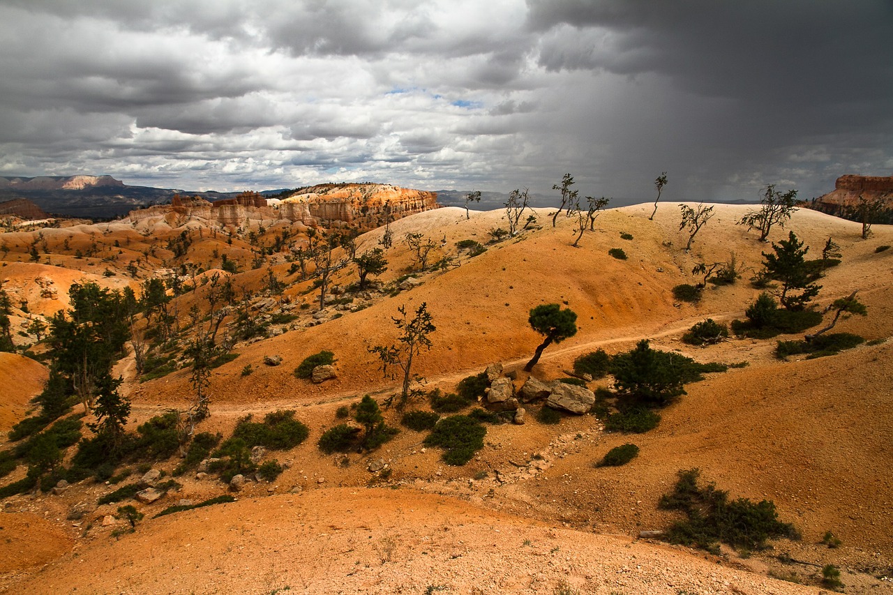 bryce canyon national park park free photo