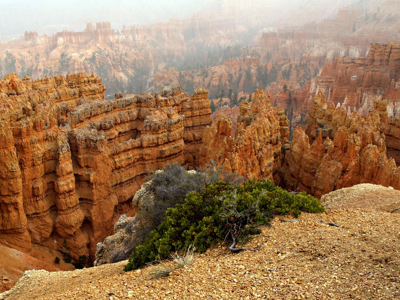bryce canyon national park utah free photo