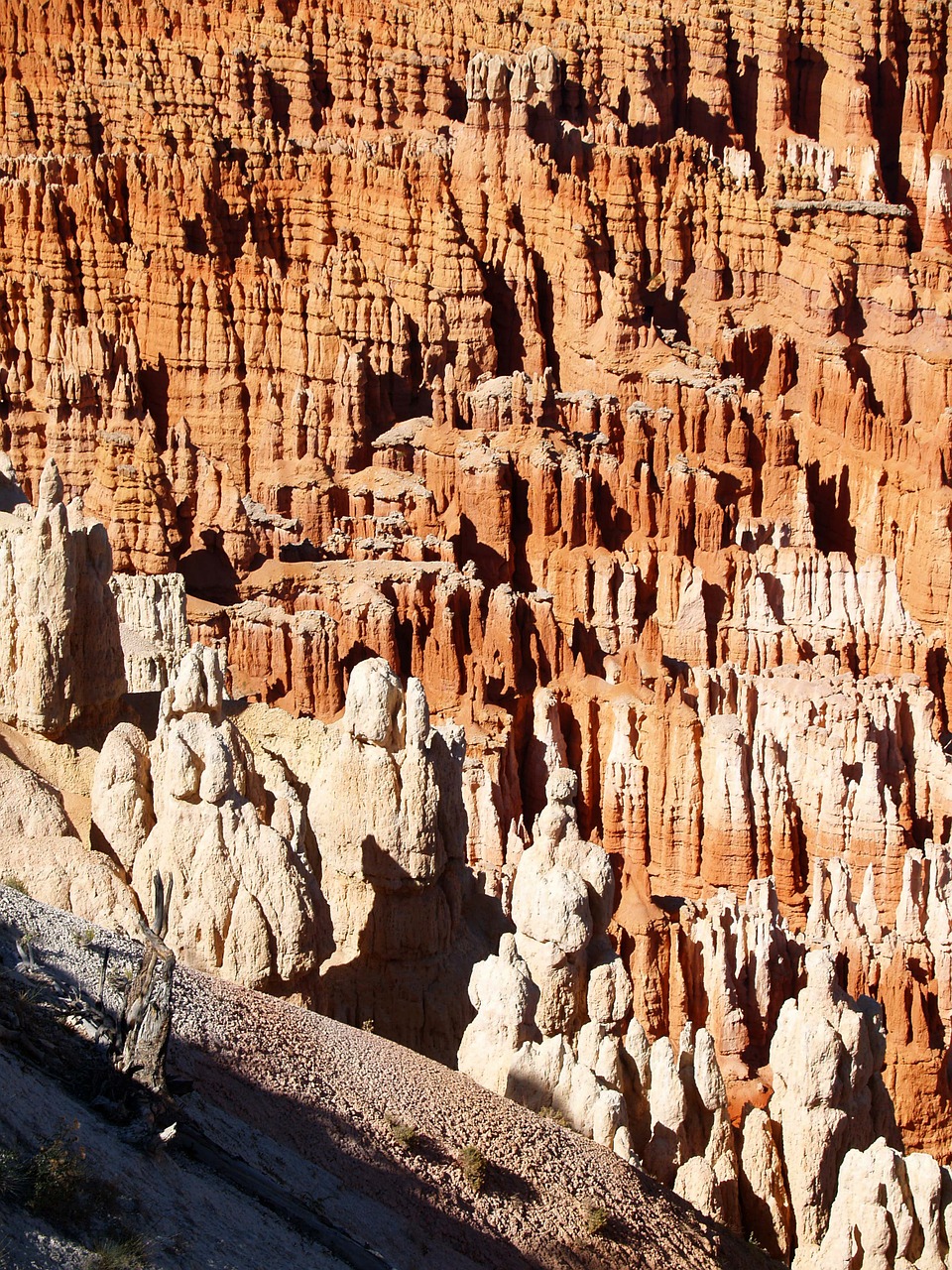 bryce canyon national park utah usa free photo