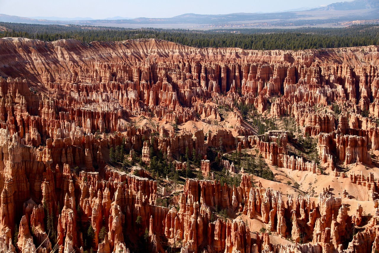 bryce national park  utah  usa free photo