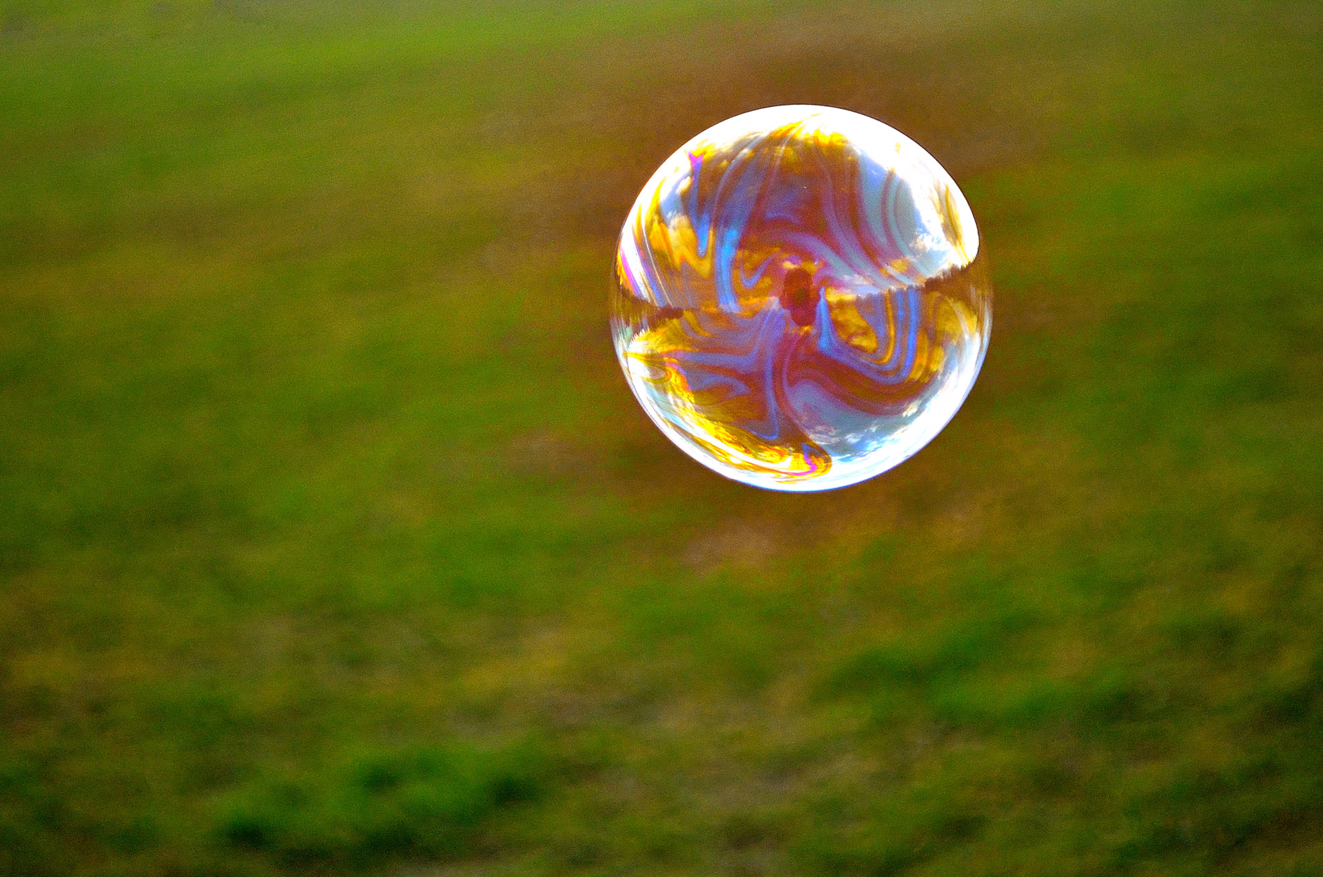 bubble macro background free photo