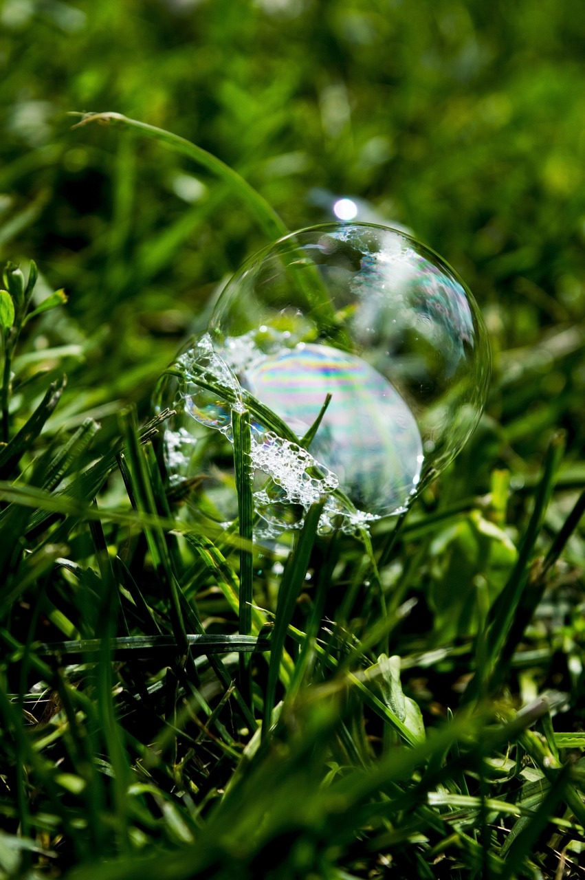 bubble grass sphere free photo