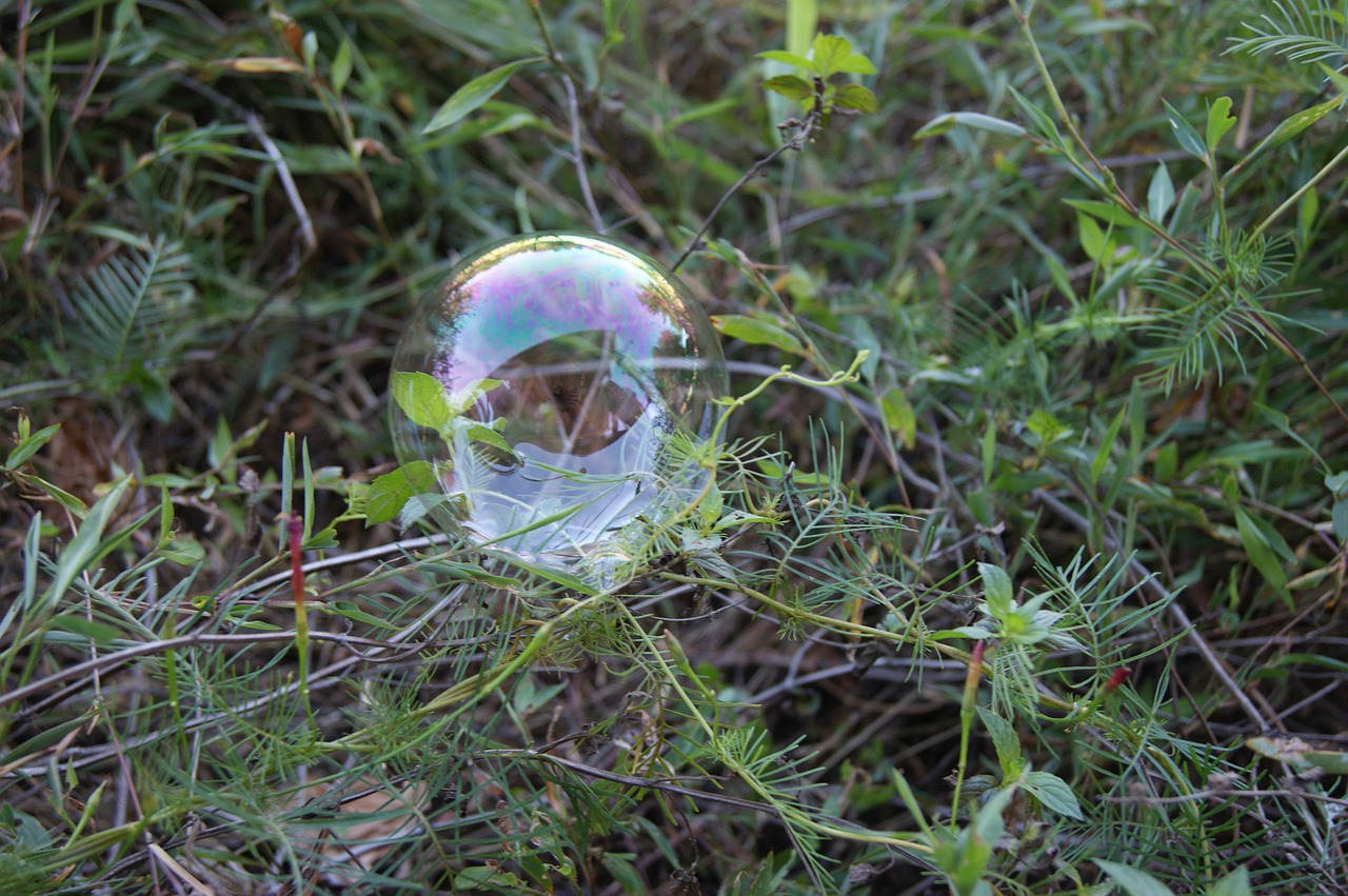 soap bubble bubble transparent free photo
