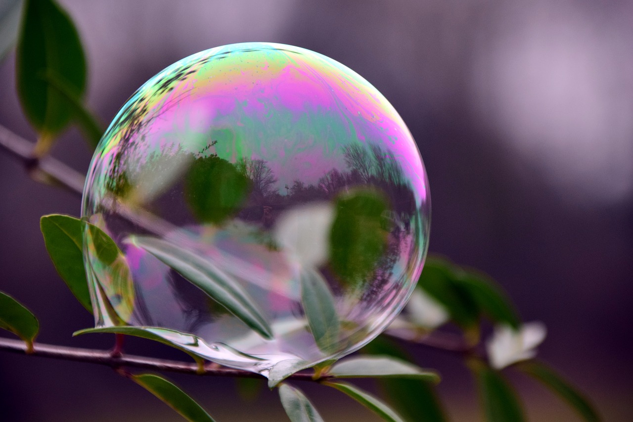 bubble soap bubble iridescent free photo