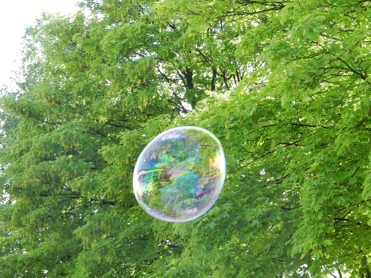bubble soap air free photo