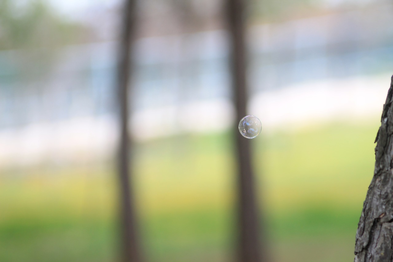 bubble  flying  colorful free photo