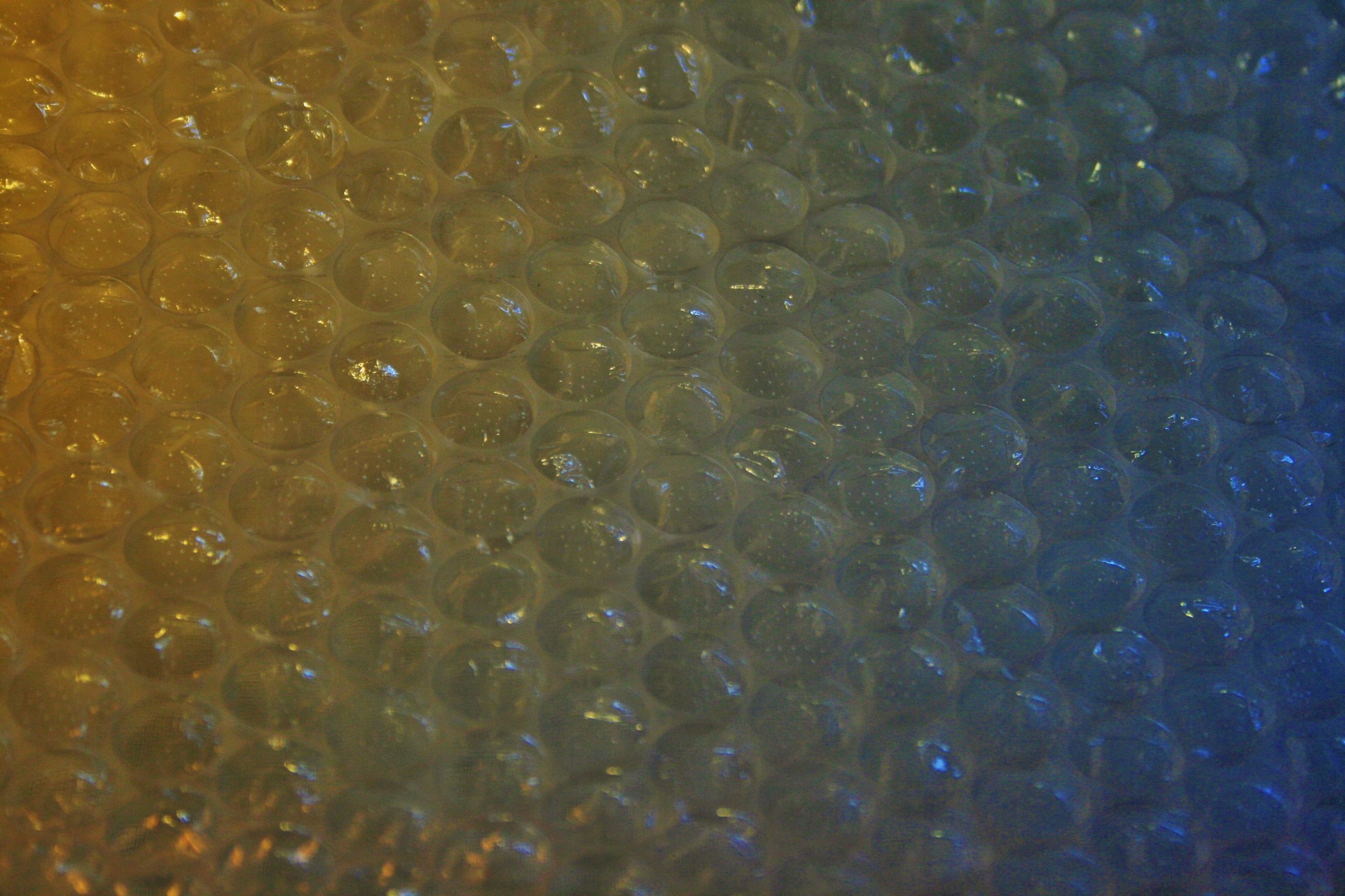 wrap bubble plastic free photo