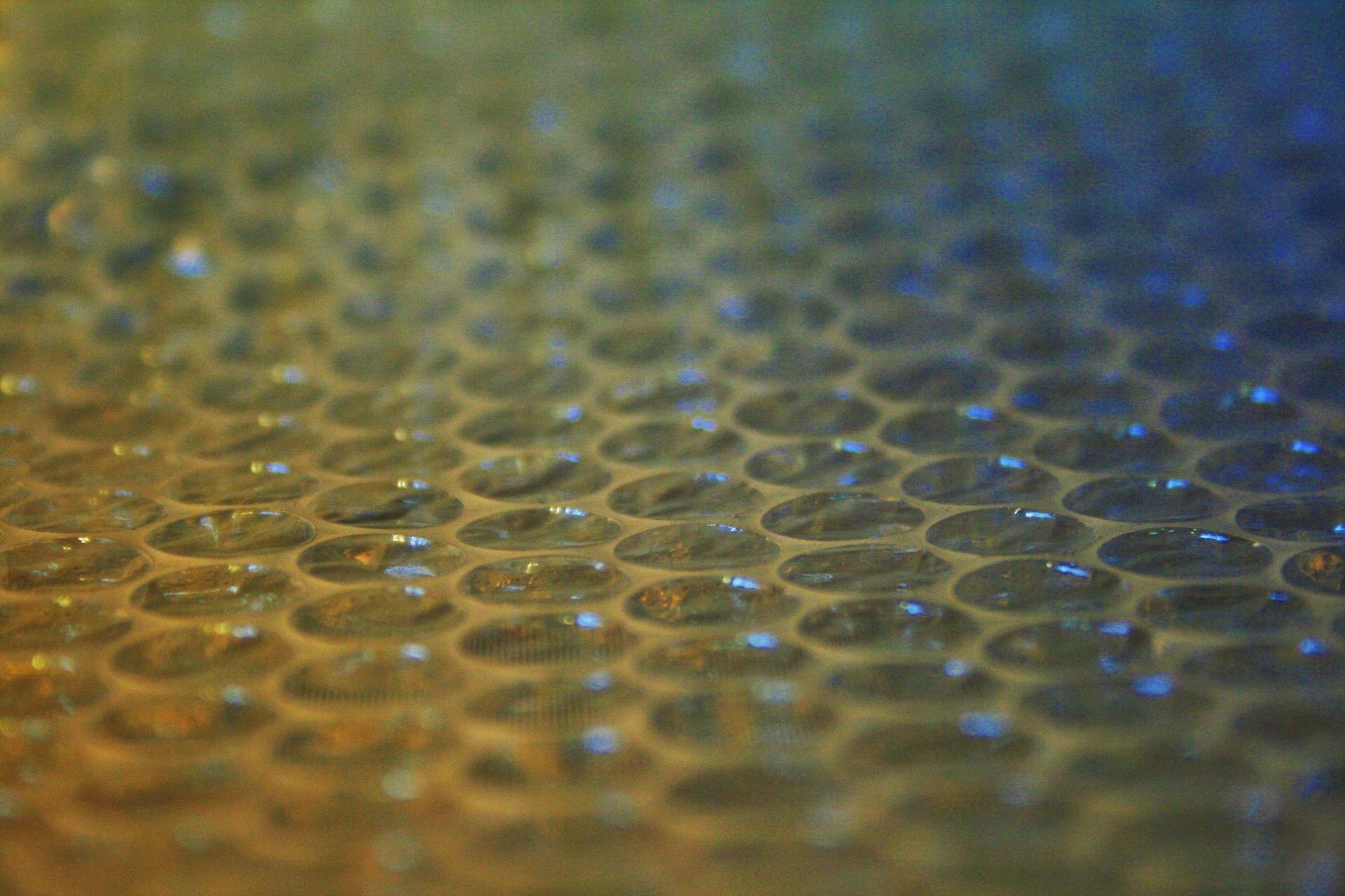 wrap bubble plastic free photo