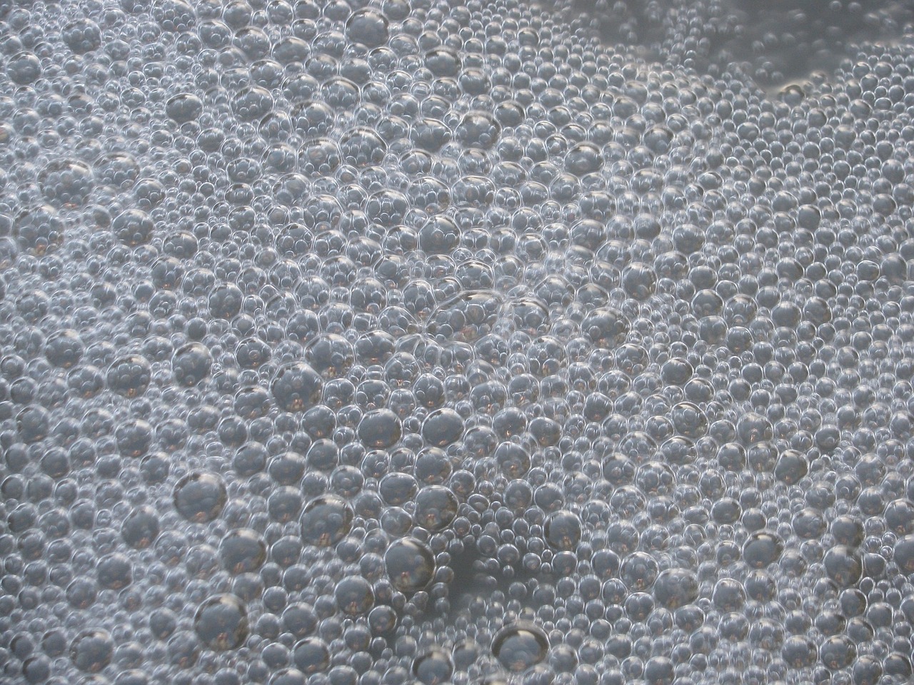 bubbles foam macro free photo