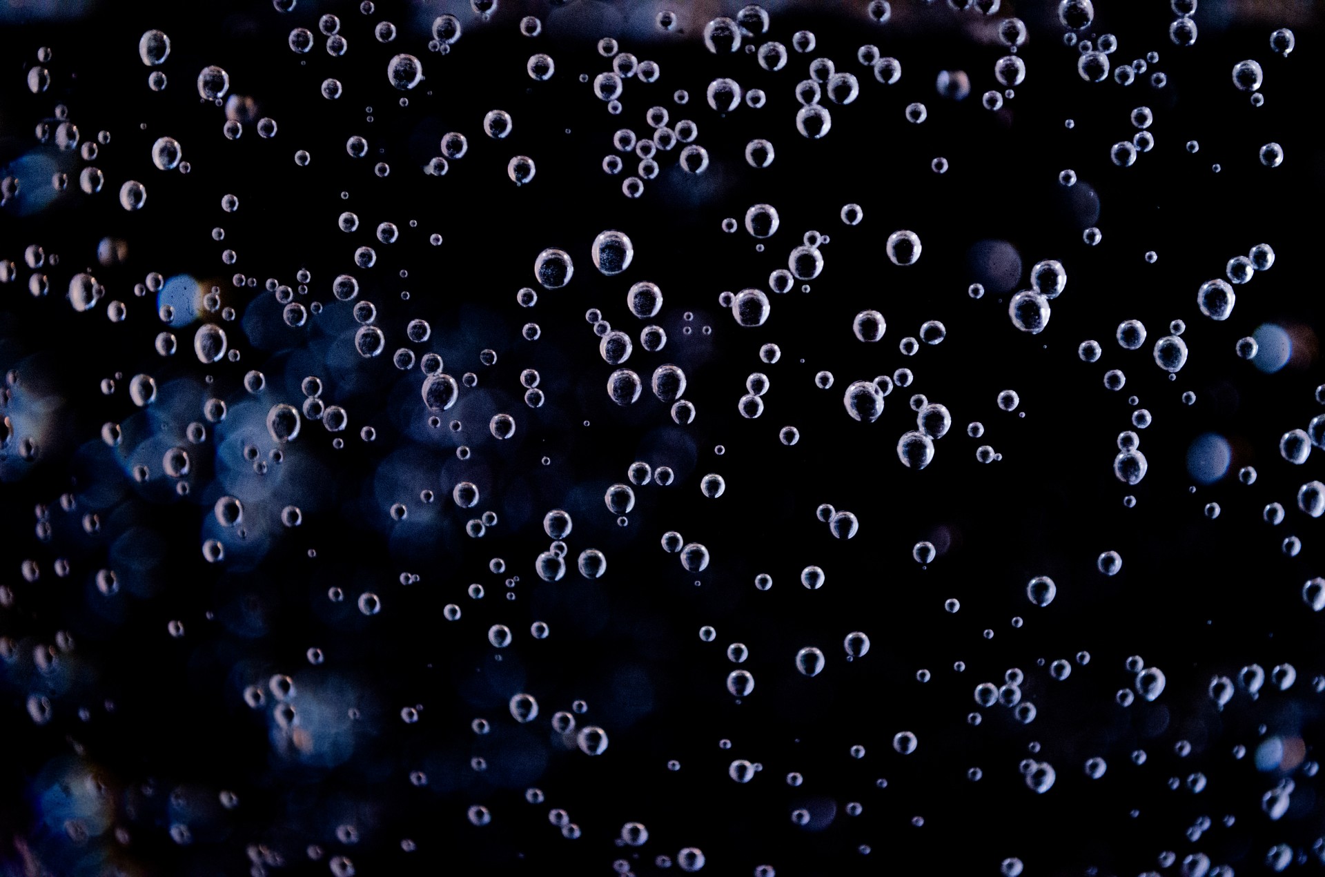 bubbles background bubble free photo