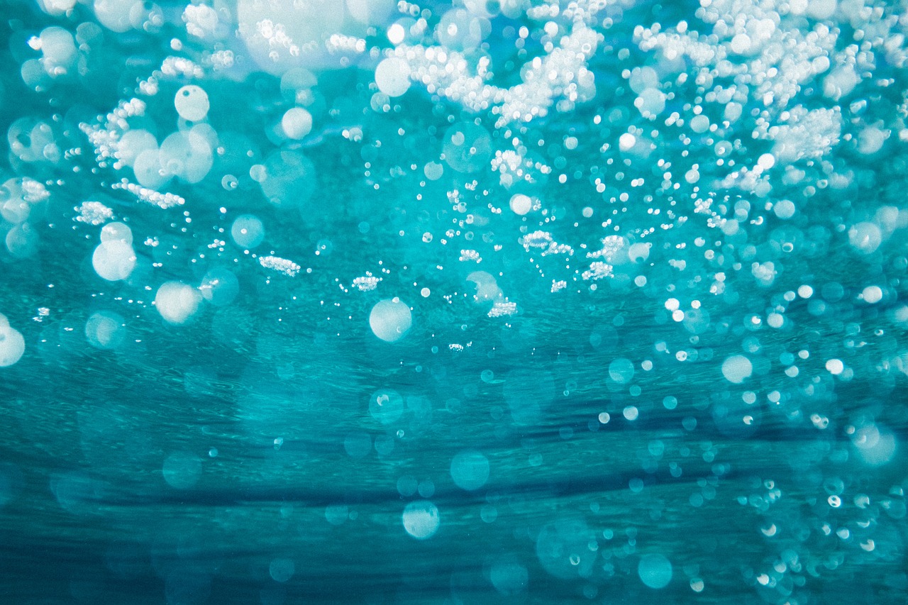bubbles underwater water free photo